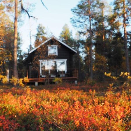 Lapintintti Eco-Cabin In Inari Dış mekan fotoğraf