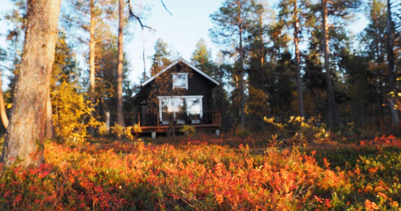 Lapintintti Eco-Cabin In Inari Dış mekan fotoğraf